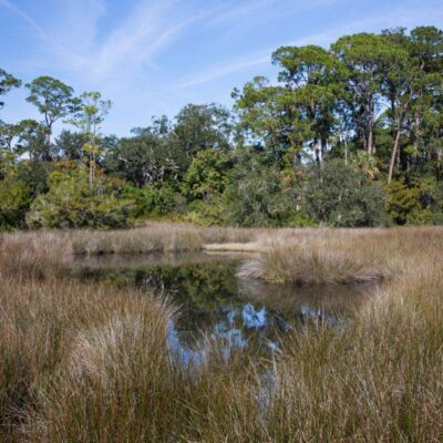 Fort Mose Historic State Park