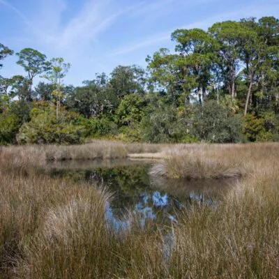 Fort Mose Historic State Park