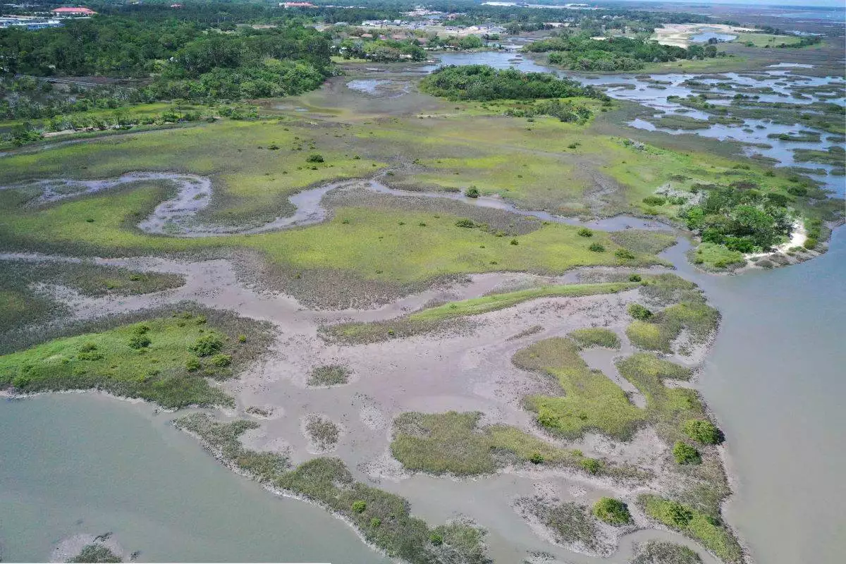 aerial photograph of Fort Mose Historic State Park