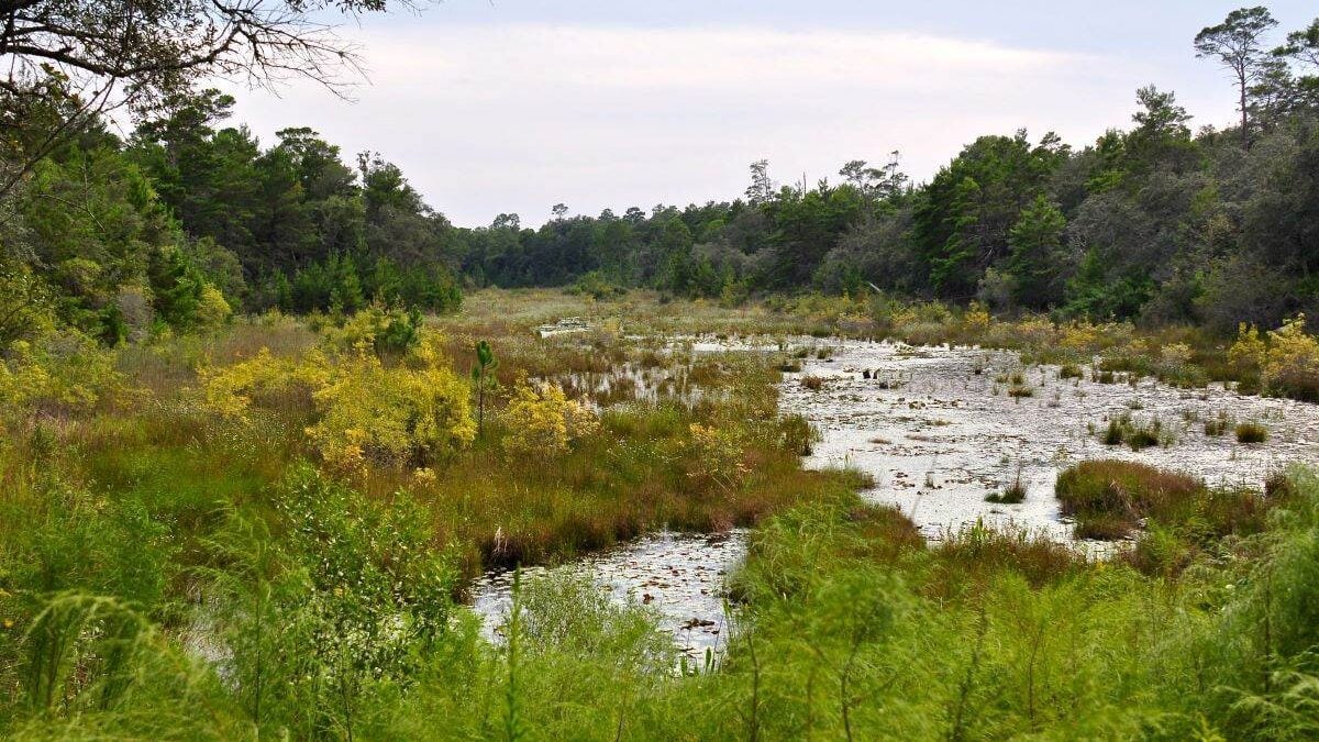 Puddin head lake at Fred Gannon Rocky Bayou State Park