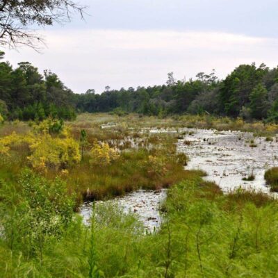 Fred Gannon Rocky Bayou State Park
