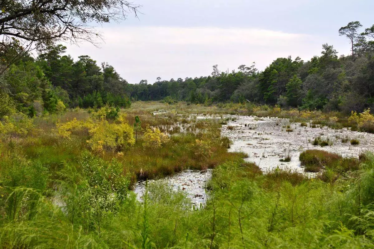 Puddin head lake at Fred Gannon Rocky Bayou State Park