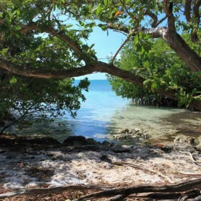 Indian Key Historic State Park