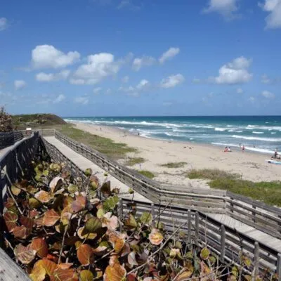 John D. MacArthur Beach State Park