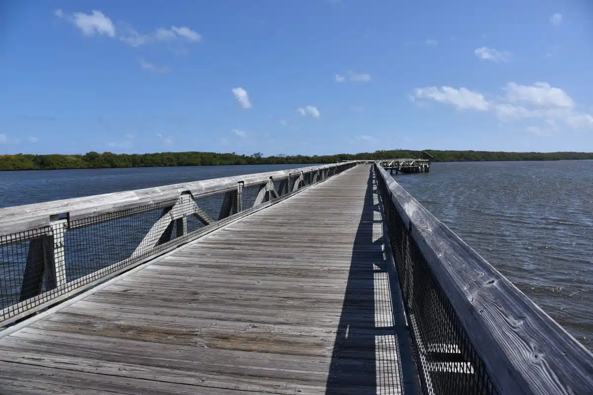 John D. MacArthur Beach State Park 3 boardwalk above the water at John D. MacArthur Beach State Park
