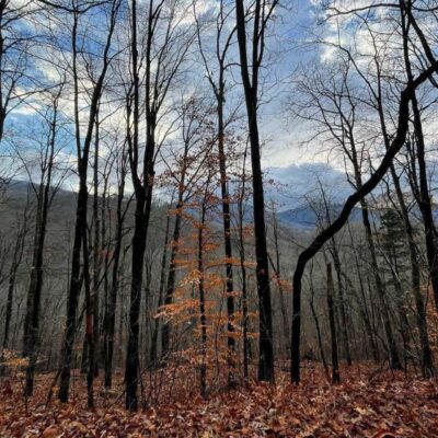 Cheaha State Park