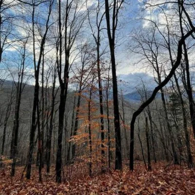 Justin P. Wilson Cumberland Trail State Park