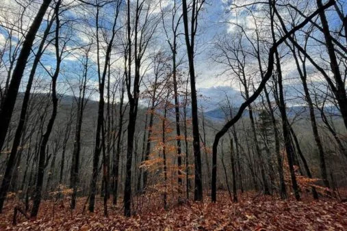 Justin P. Wilson Cumberland Trail State Park 35 Head of the Sequatchie with Views of Hinch Mountain at Justin P. Wilson Cumberland Trail State Park