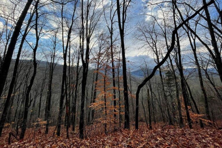 Justin P. Wilson Cumberland Trail State Park