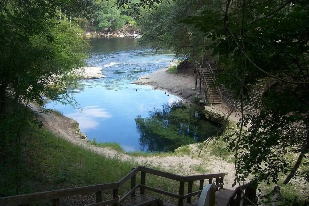 View of the springs at Lafayette Blue Springs State Park from above