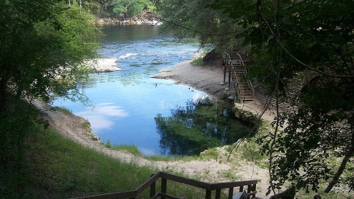View of the springs at Lafayette Blue Springs State Park from above