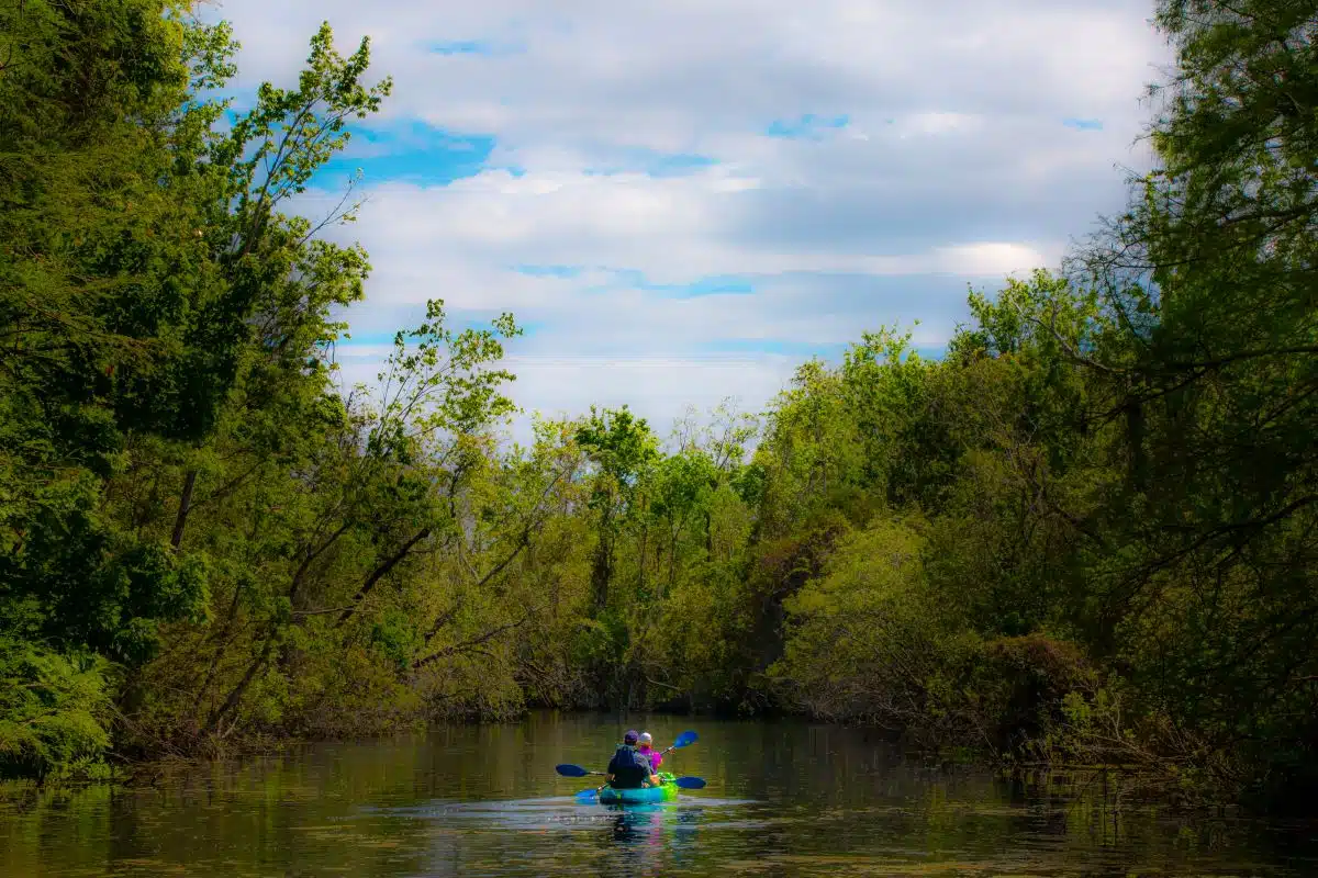 people kayaking at Lake Griffin State Park
