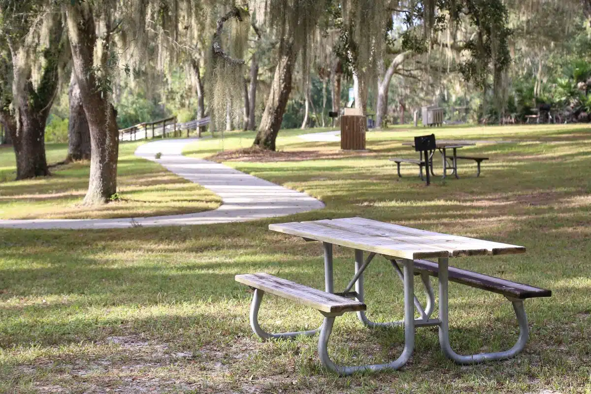 Picnic tables under the trees at Lake Griffin State Park