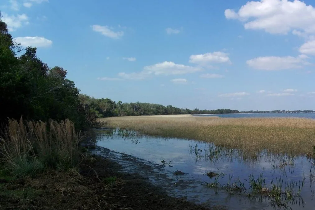 Clouds reflect in the water at Lake June-in-Winter Scrub Preserve State Park