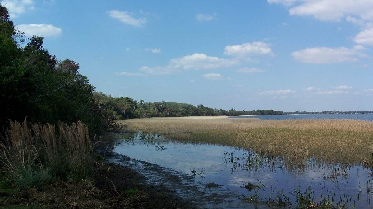 Clouds reflect in the water at Lake June-in-Winter Scrub Preserve State Park