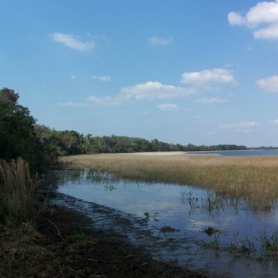 Alexander Springs Recreation Area