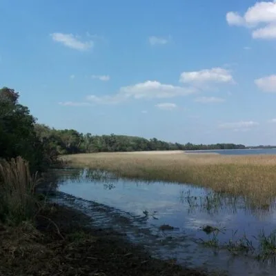 Lake June-in-Winter Scrub Preserve State Park