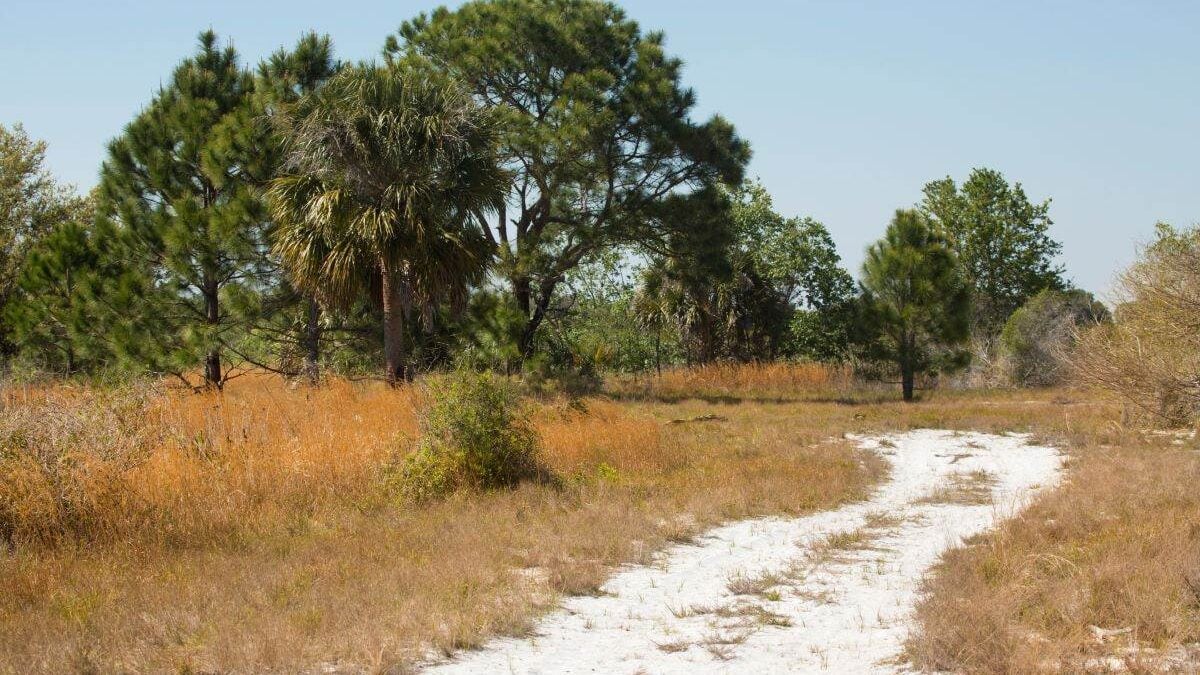 dirt road through Lake Kissimmee State Park