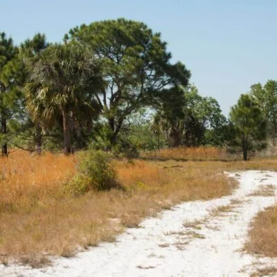 Lake Kissimmee State Park
