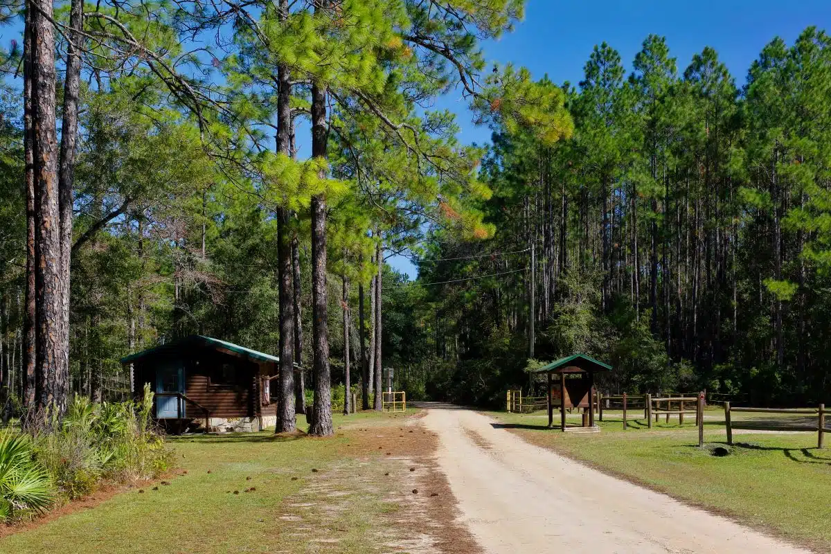 Lake Talquin State Park 3 entrance to Lake Talquin State Park