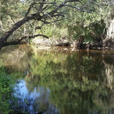 Little Manatee River State Park