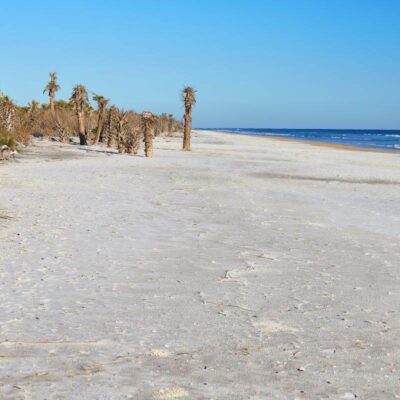 Little Talbot Island State Park