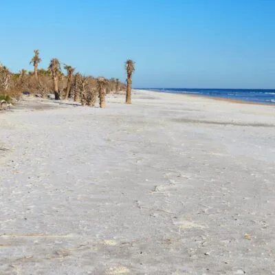 Little Talbot Island State Park
