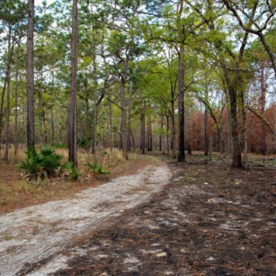Lower Wekiva River Preserve State Park