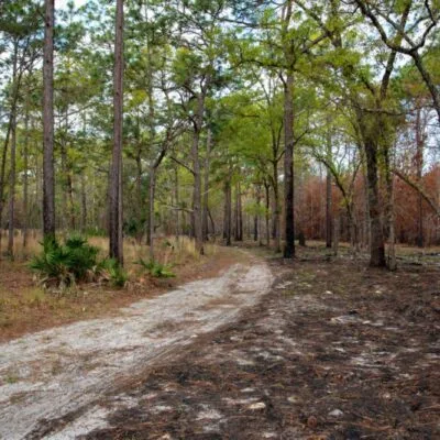 Lower Wekiva River Preserve State Park