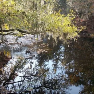 O'Leno State Park