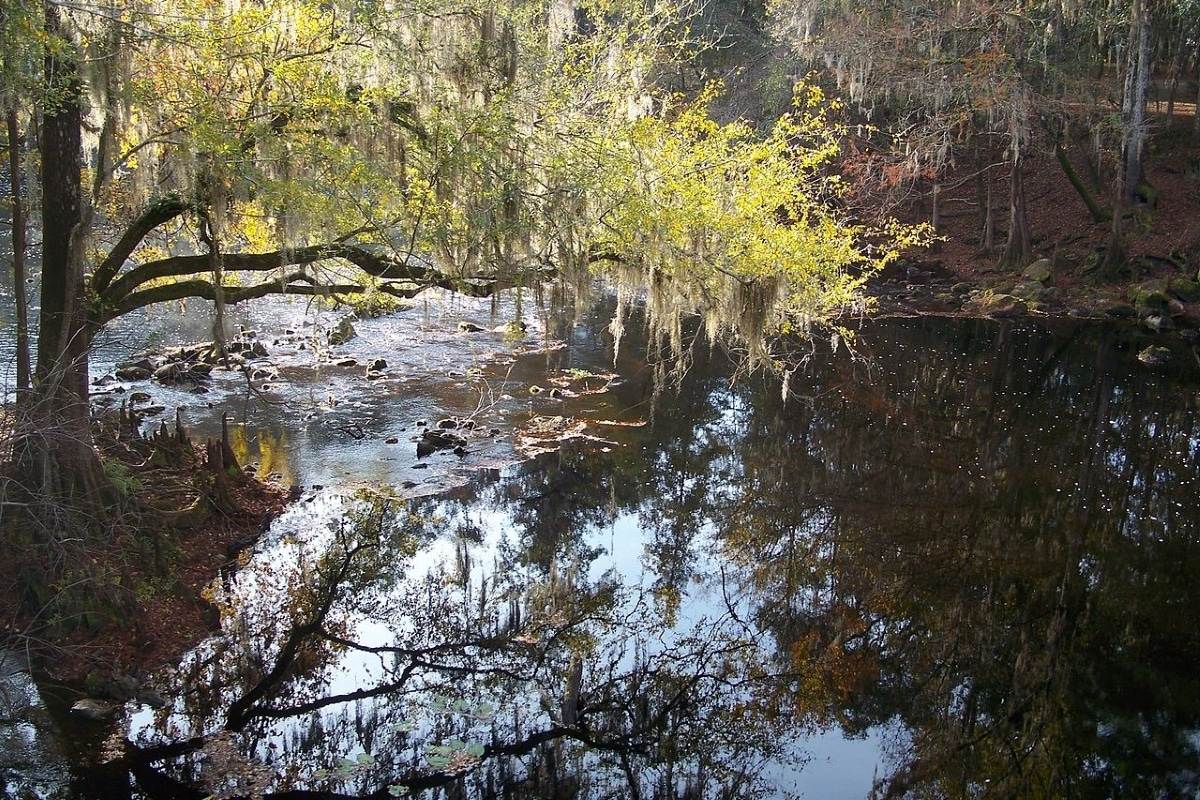 Santa Fe River, looking south from the bridge in O&#039;Leno State Park.