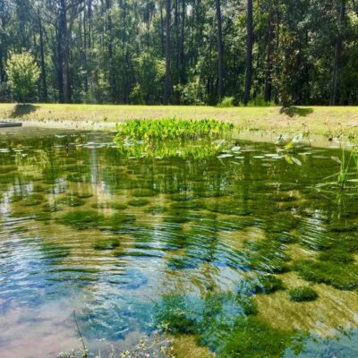 Mizell-Johnson State Park