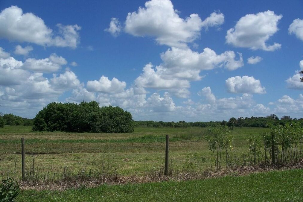 Open field at Okeechobee Battlefield Historic State Park
