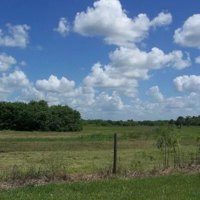 Okeechobee Battlefield Historic State Park