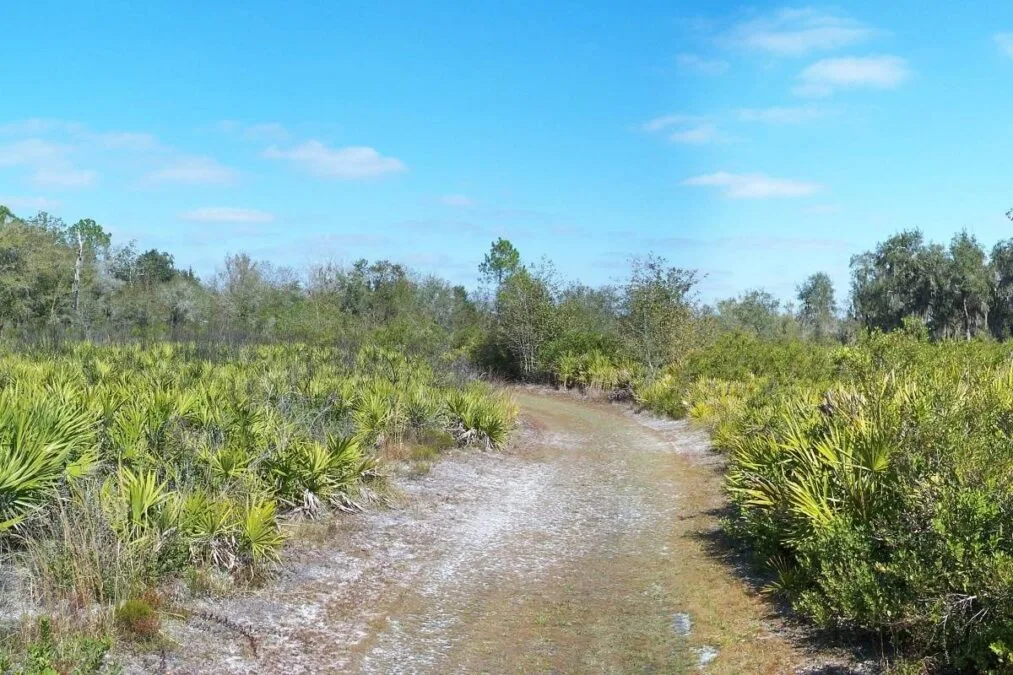 Pathway through the park at Paynes Creek Historic State Park