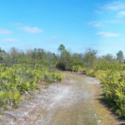 Paynes Creek Historic State Park