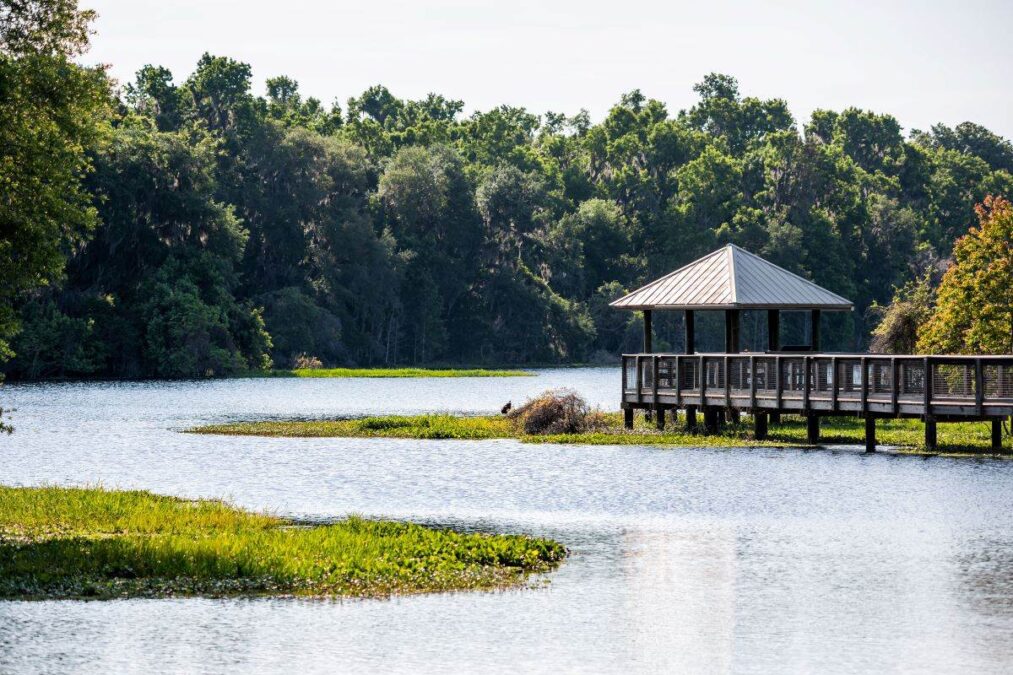 dock on the water at Paynes Prairie Preserve State Park