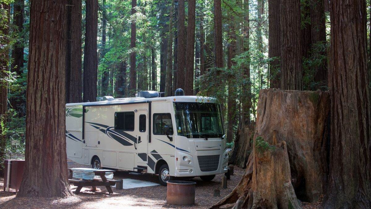 RV Motorhome at a state park in the woods