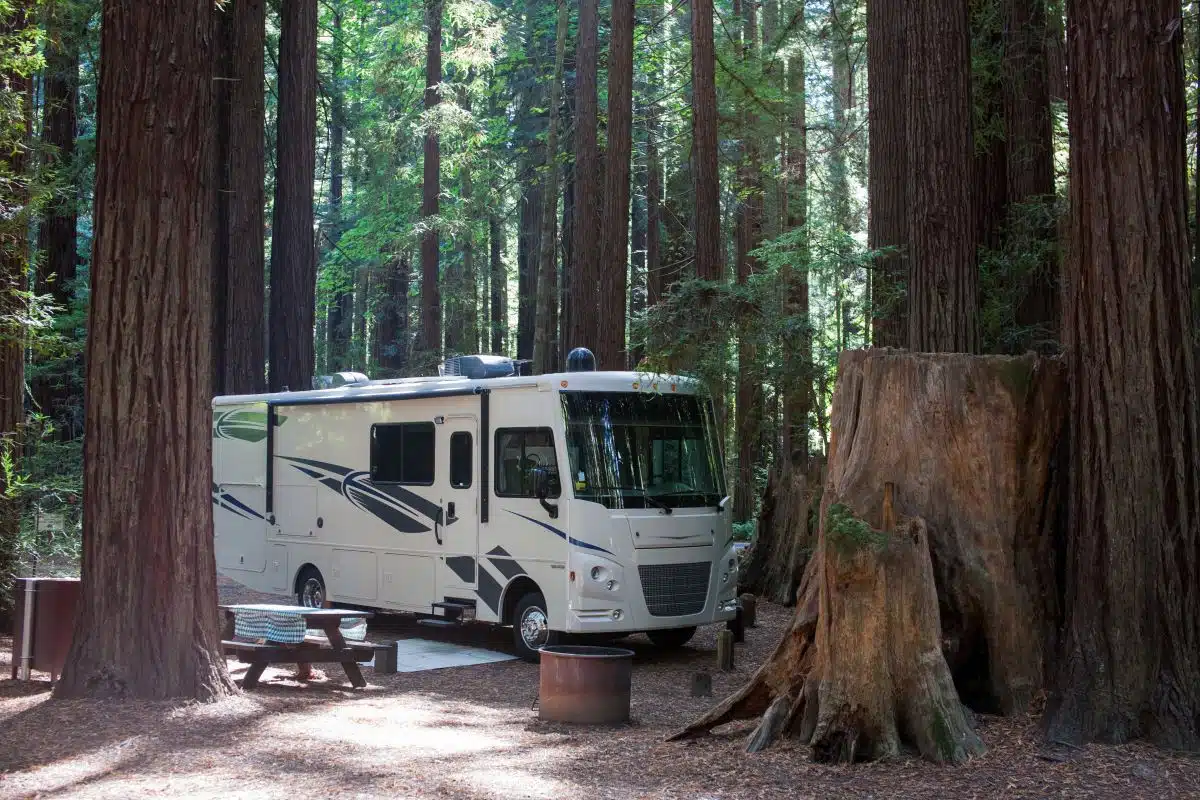RV Motorhome at a state park in the woods