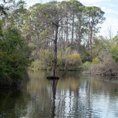 Weeki Wachee Springs State Park