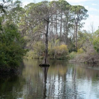 Weeki Wachee Springs State Park