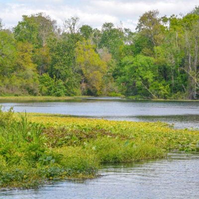 Wekiwa Springs State Park