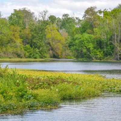 Wekiwa Springs State Park