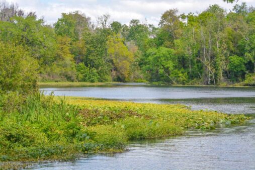 Wekiwa Springs State Park