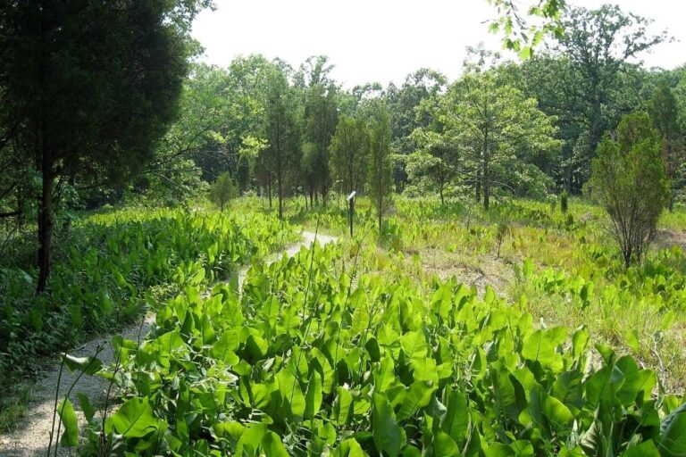 Adams Lake State Park