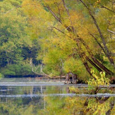 Burr Oak State Park