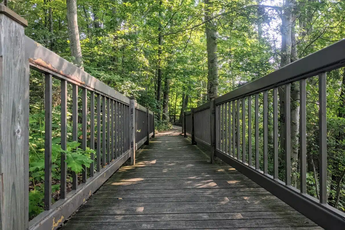 wooden bridge on a hiking trail at Caesar Creek State Park