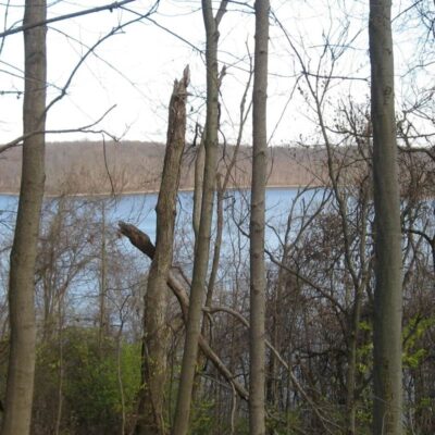 Old Fort Harrod State Park