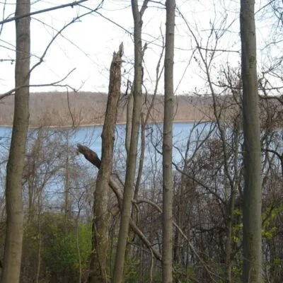 East Fork State Park