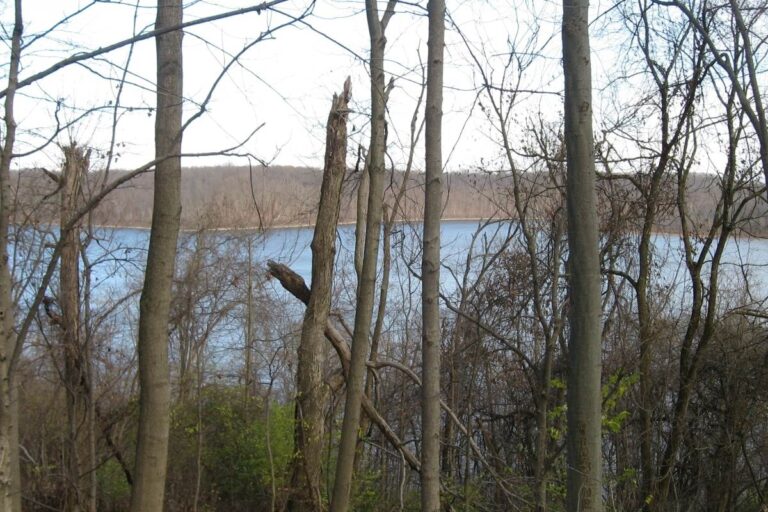 East Fork State Park